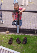 Nee jongens ik mag jullie geen brood geven